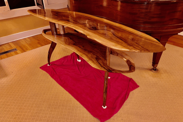 1210255336350671.GKKTmDttJ873VS5ncXyB_height640